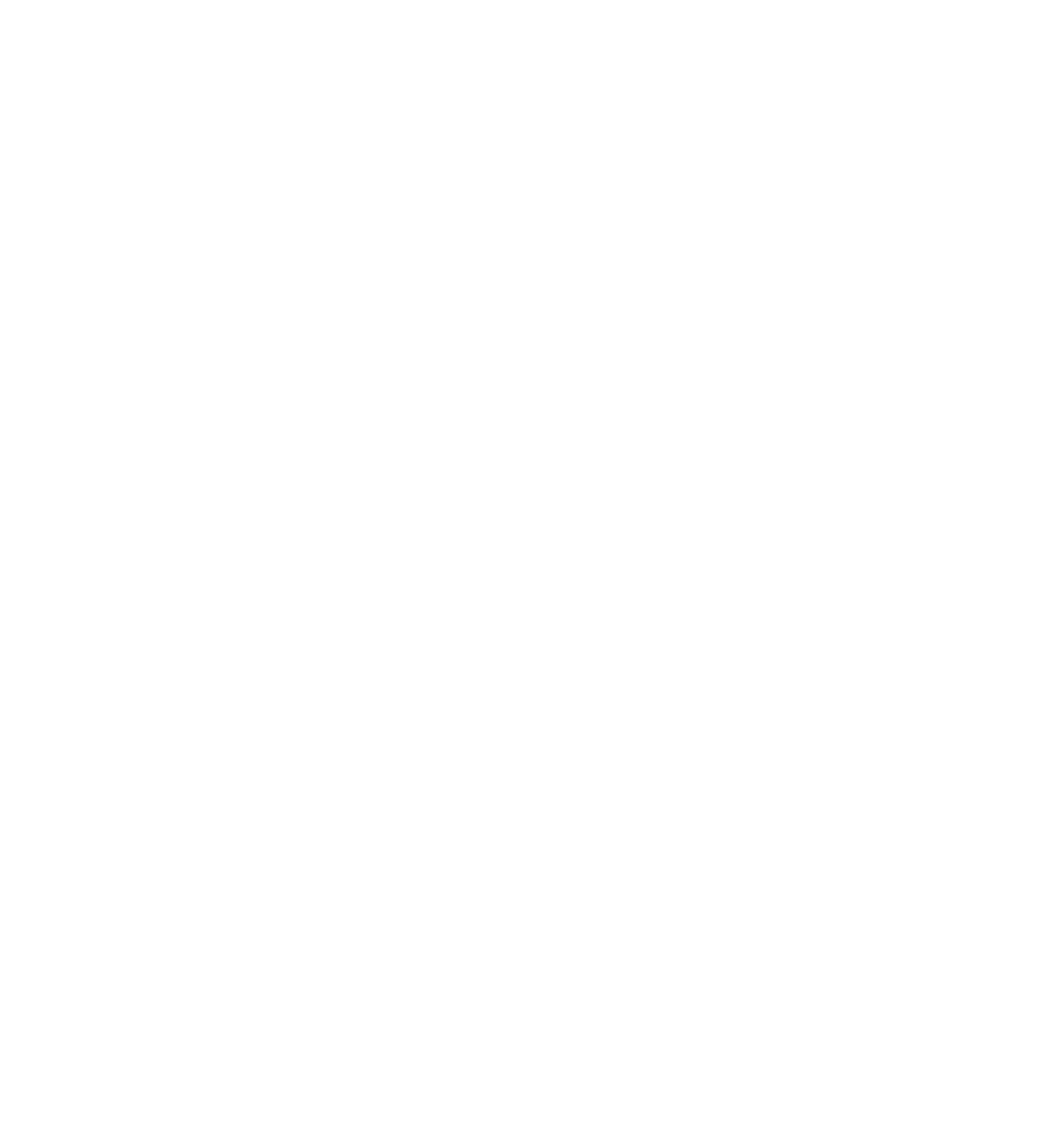 AC Immo logo blanc